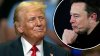 ¿Qué es DOGE y qué hace? Una explicación mientras Trump y Musk hacen cambios